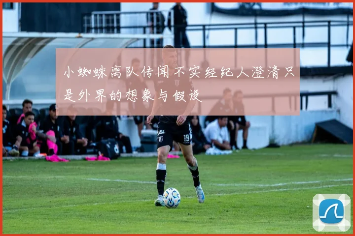 小蜘蛛离队传闻不实经纪人澄清只是外界的想象与假设