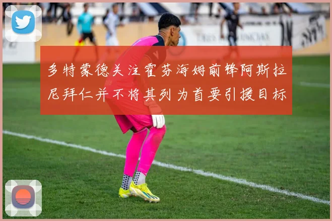 多特蒙德关注霍芬海姆前锋阿斯拉尼拜仁并不将其列为首要引援目标